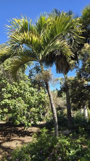 GC-Parque Botanico de Maspalomas 2025-084.jpg